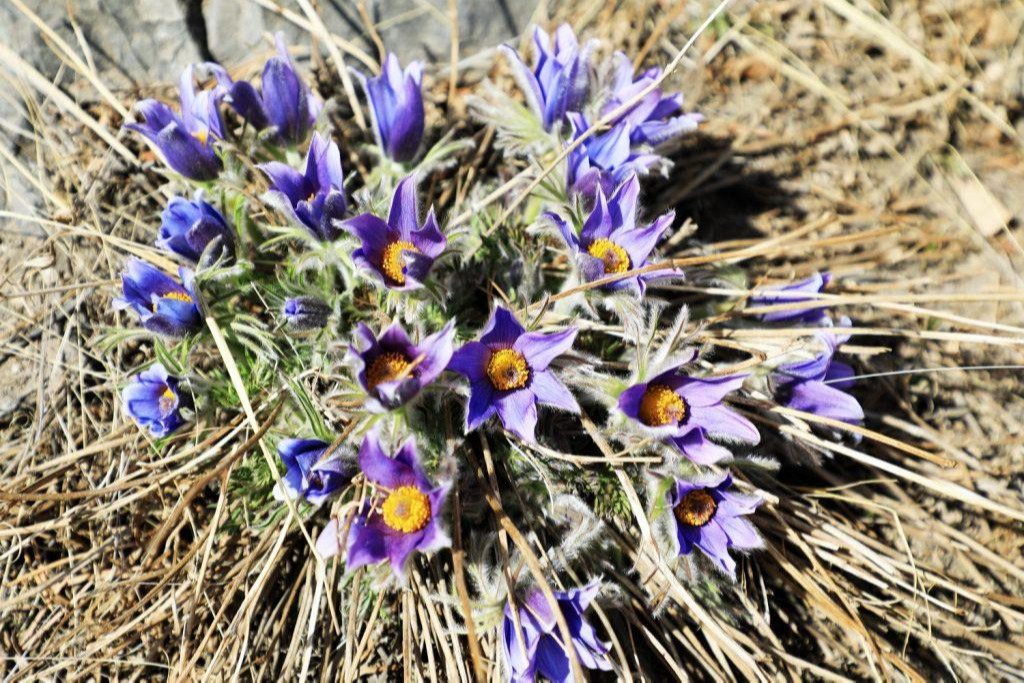 Улаанбаатарт өдөртөө 15 хэм дулаан